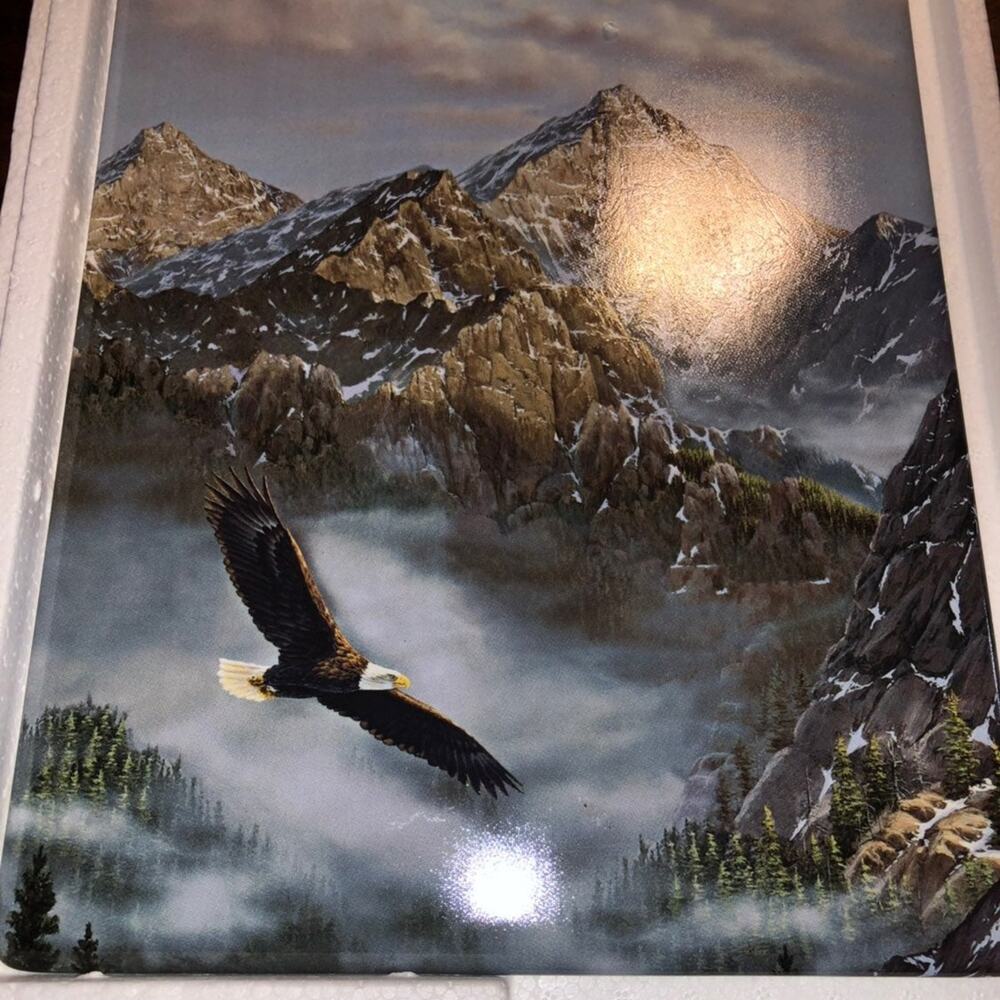 Bradford Exchange Eagle Plate 639A